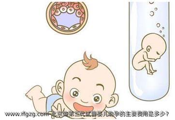 北京做第三代代孕助孕的主要费用是多少？