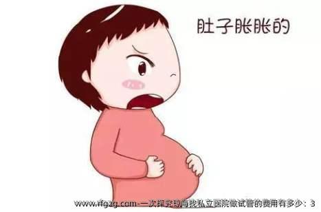 一次探究琼海找私立医院做试管的费用有多少：3