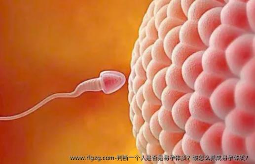 判断一个人是否是易孕体质？该怎么养成易孕体质？