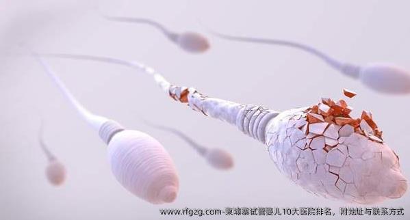 柬埔寨代孕10大医院排名，附地址与联系方式
