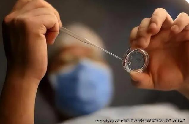 输卵管堵塞只能做代孕吗？为什么？