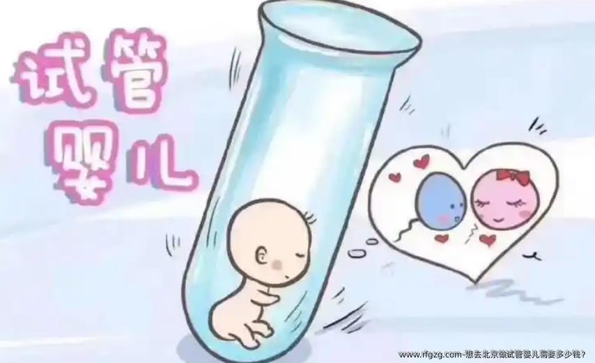 想去北京做代孕需要多少钱？