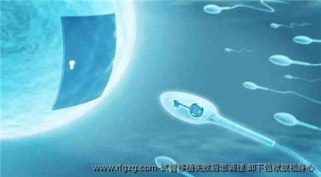 试管移植失败后怎调理 卸下包袱放松身心