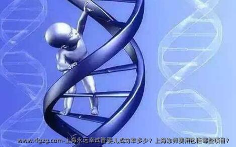 上海永远幸试管婴儿成功率多少？上海雪藏卵费用包括哪些项目？