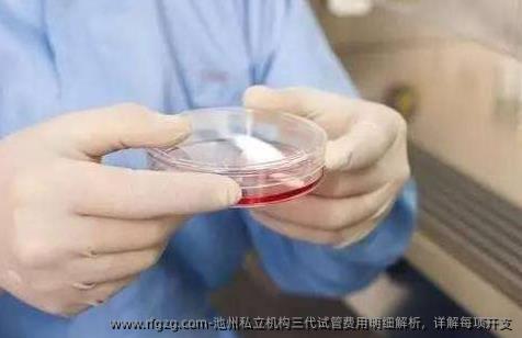 池州私立机构三代试管费用明细解析，详解每项开支
