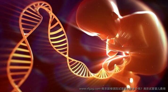 南京鼓楼医院试管婴儿要多少钱？南京试管婴儿费用