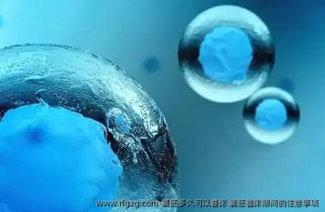 囊胚多久可以着床 囊胚着床期间的注意事项