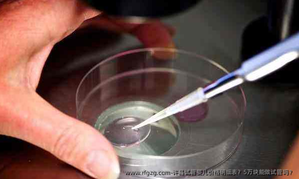 许昌代孕价格明细表？5万块能做试管吗？