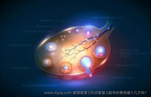 泰国做第三代代孕助孕的费用值十几万吗？