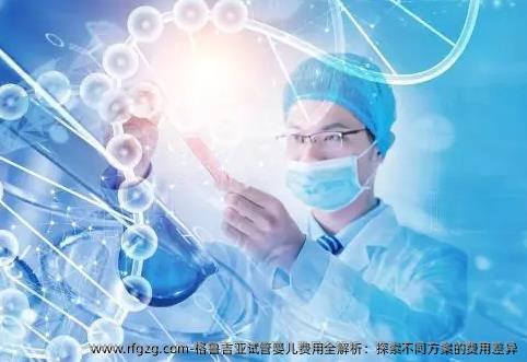 格鲁吉亚代孕费用全解析：探索不同方案的费用差异