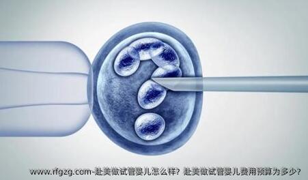 赴美做代孕怎么样？赴美做代孕费用预算为多少? 