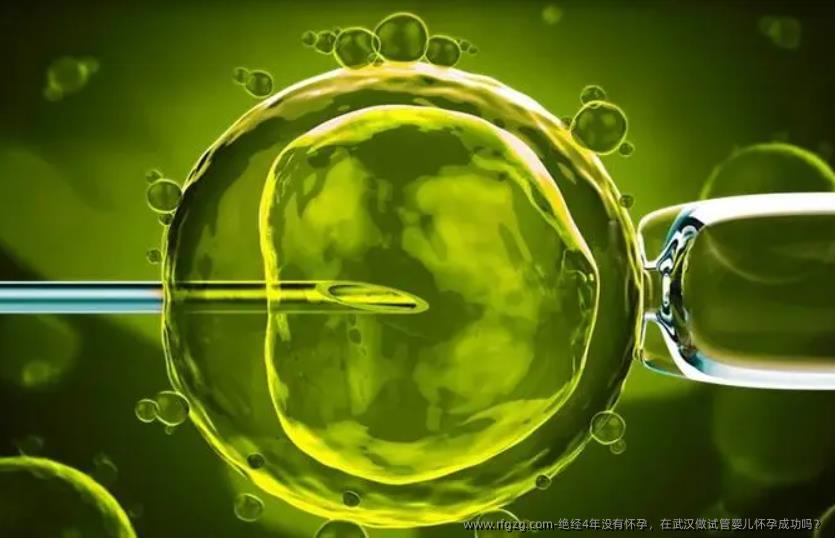 绝经4年没有怀孕，在武汉做代孕怀孕成功吗？