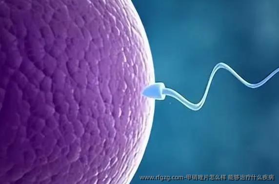 甲硝唑片怎么样，能够治疗什么疾病