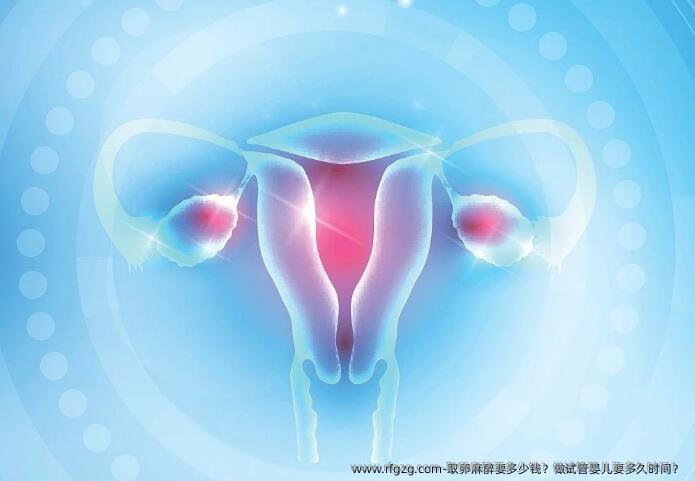 卵泡取出麻醉要多少钱？做代孕要多久时间？ 