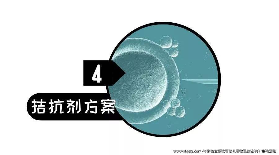 马来西亚做代孕需要结婚证吗？生殖法规