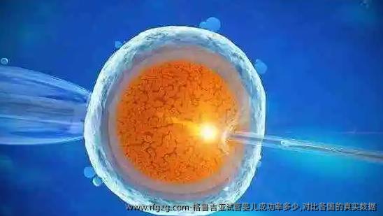 格鲁吉亚试管婴儿成功率多少,对比各国的真实数据