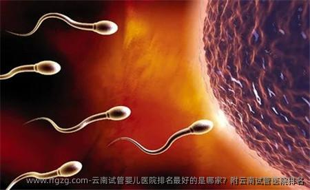 云南代孕医院排名较好的是哪家？附云南试管医院排名