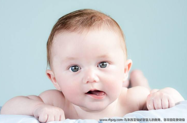 马来西亚做代孕的费用，各项目花费明细