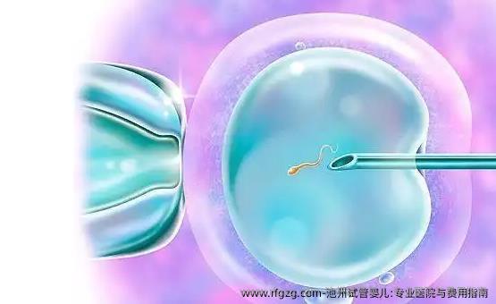 池州代孕:专业医院与费用指南