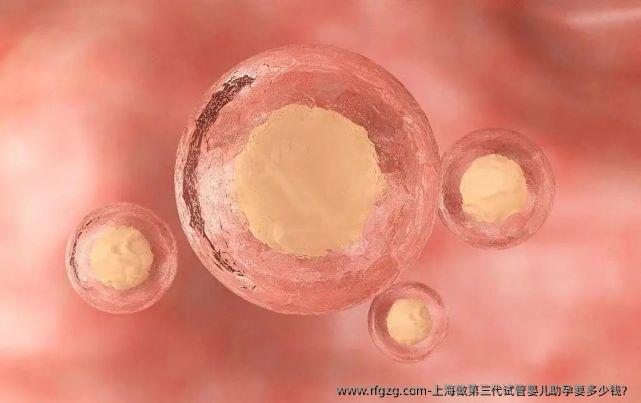 上海做第三代代孕助孕要多少钱？
