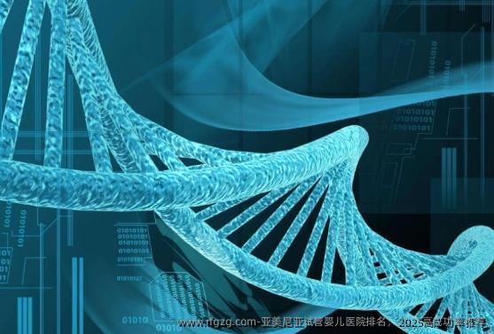 亚美尼亚代孕医院排名，2025高成功率推荐