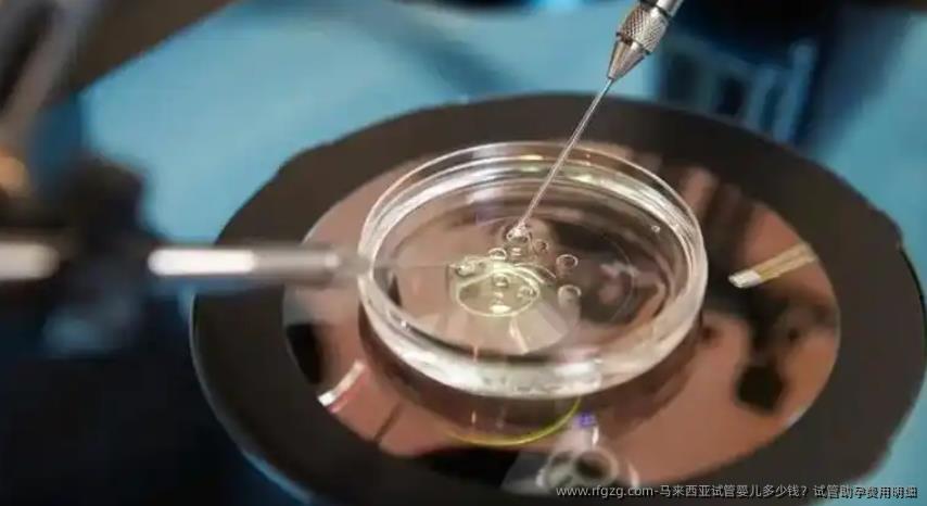 马来西亚代孕多少钱？试管助孕费用明细