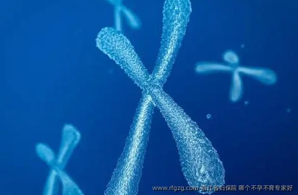 浙江省妇保院哪个不孕不育专家好