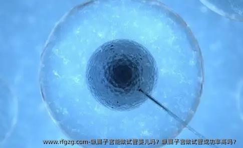 纵膈子宫能做试管婴儿吗？纵膈子宫做试管成功率高吗？