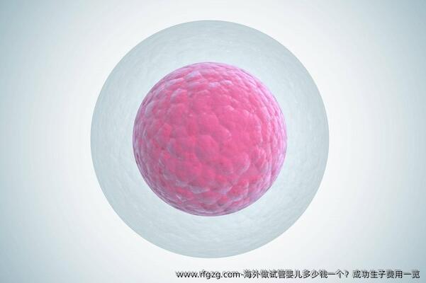 海外做代孕多少钱一个？成功生子费用一览