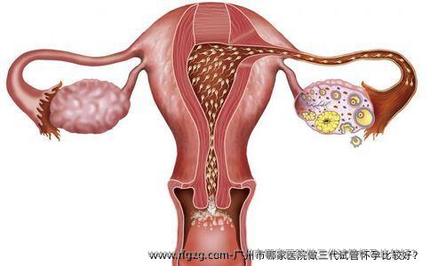 广州市哪家医院做三代试管怀孕比较好？