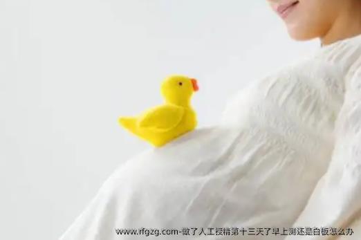 做了人工授精第十三天了早上测还是白板怎么办 