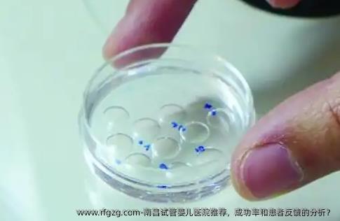 南昌试管婴儿医院推荐，成功率和患者反馈的分析？