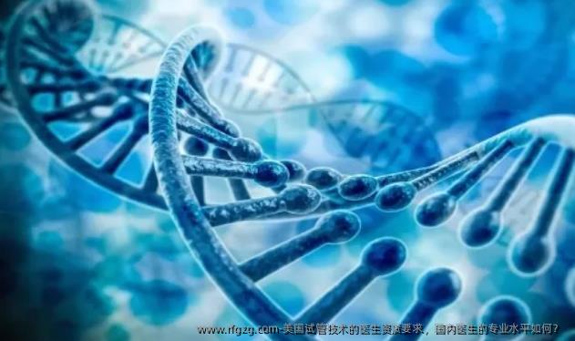 美国试管技术的医生资质要求，国内医生的专业水平如何？ 