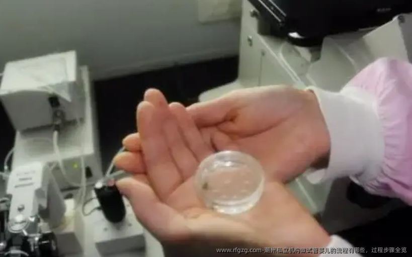 潮州私立机构做代孕的流程有哪些，过程步骤全览