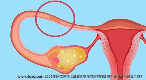 2025年同仁市可以做代孕的医院有哪些？费用纳入医保了吗？