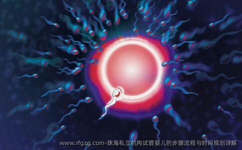 珠海私立机构代孕的步骤流程与时间规划详解