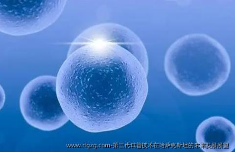 第三代试管技术在哈萨克斯坦的未来发展展望 