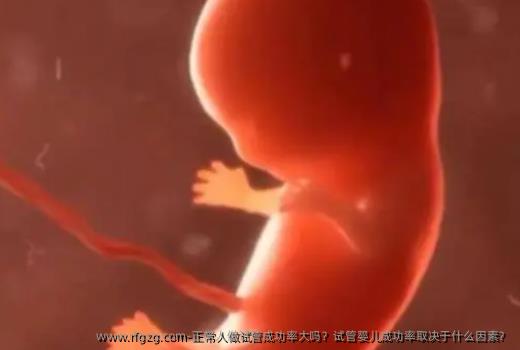 正常人做试管成功率大吗？代孕成功率取决于什么因素？